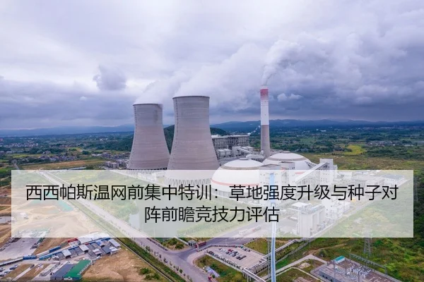 西西帕斯温网前集中特训：草地强度升级与种子对阵前瞻竞技力评估
