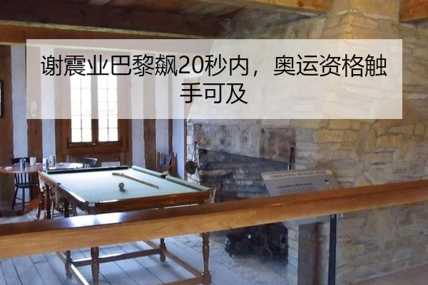 xie-zhen-ye-ba-li-biao-miao-nei-ao-yun-zi-ge-chu-shou-ke-ji-2-360.jpg